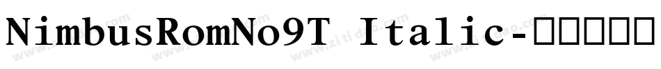 NimbusRomNo9T Italic字体转换
